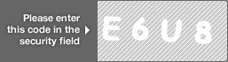 captcha code for visual authentication  letter E number 6 letter U number 8